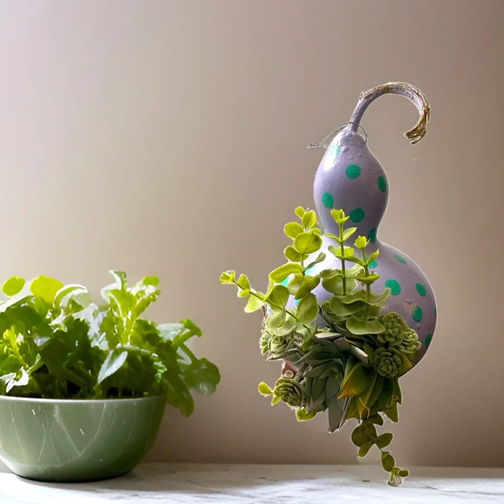 Hand crafted painted dried gourd planter purple aqua blue dots faux succulents - Picture 1 of 16
